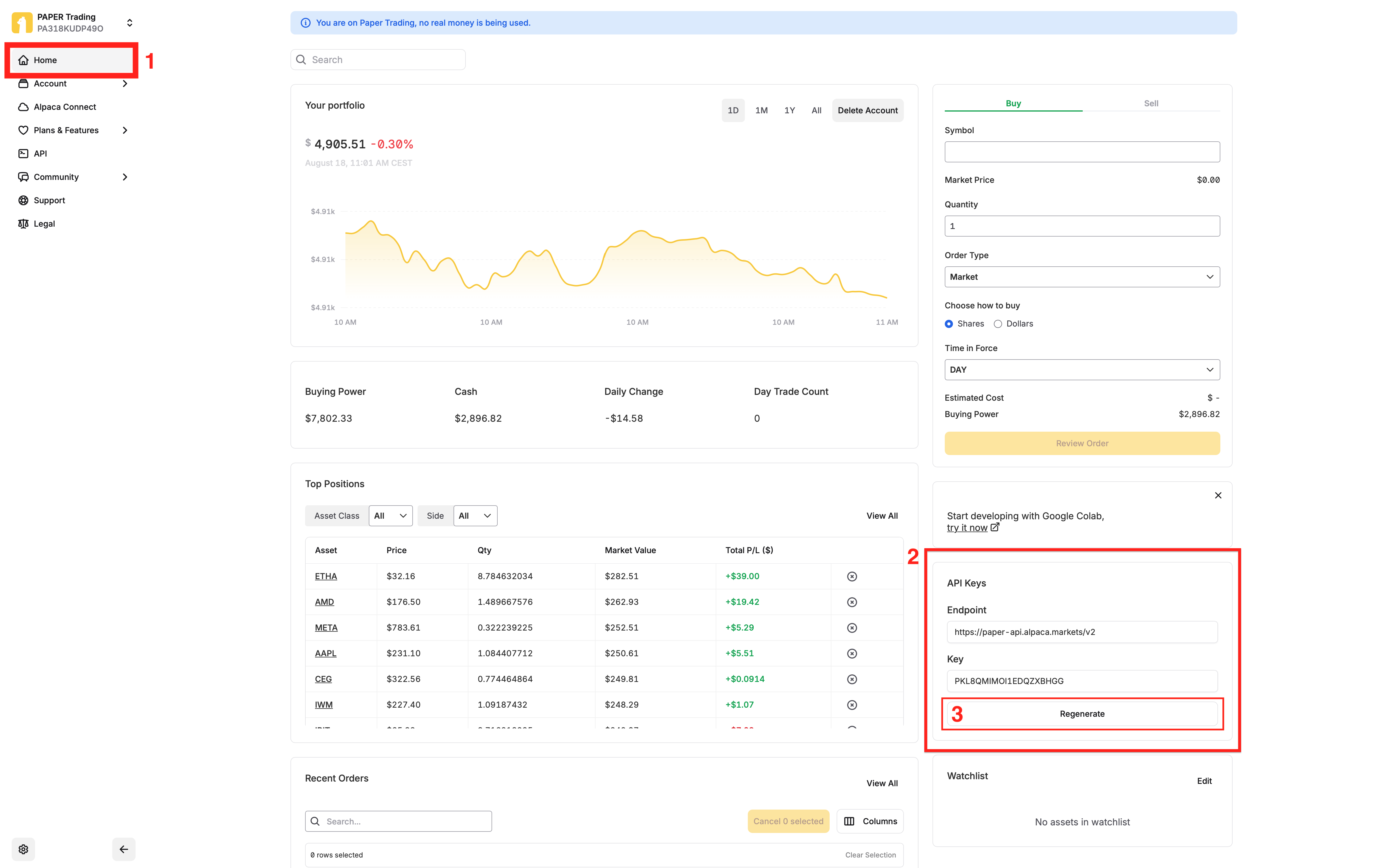 Alpaca API Keys Location