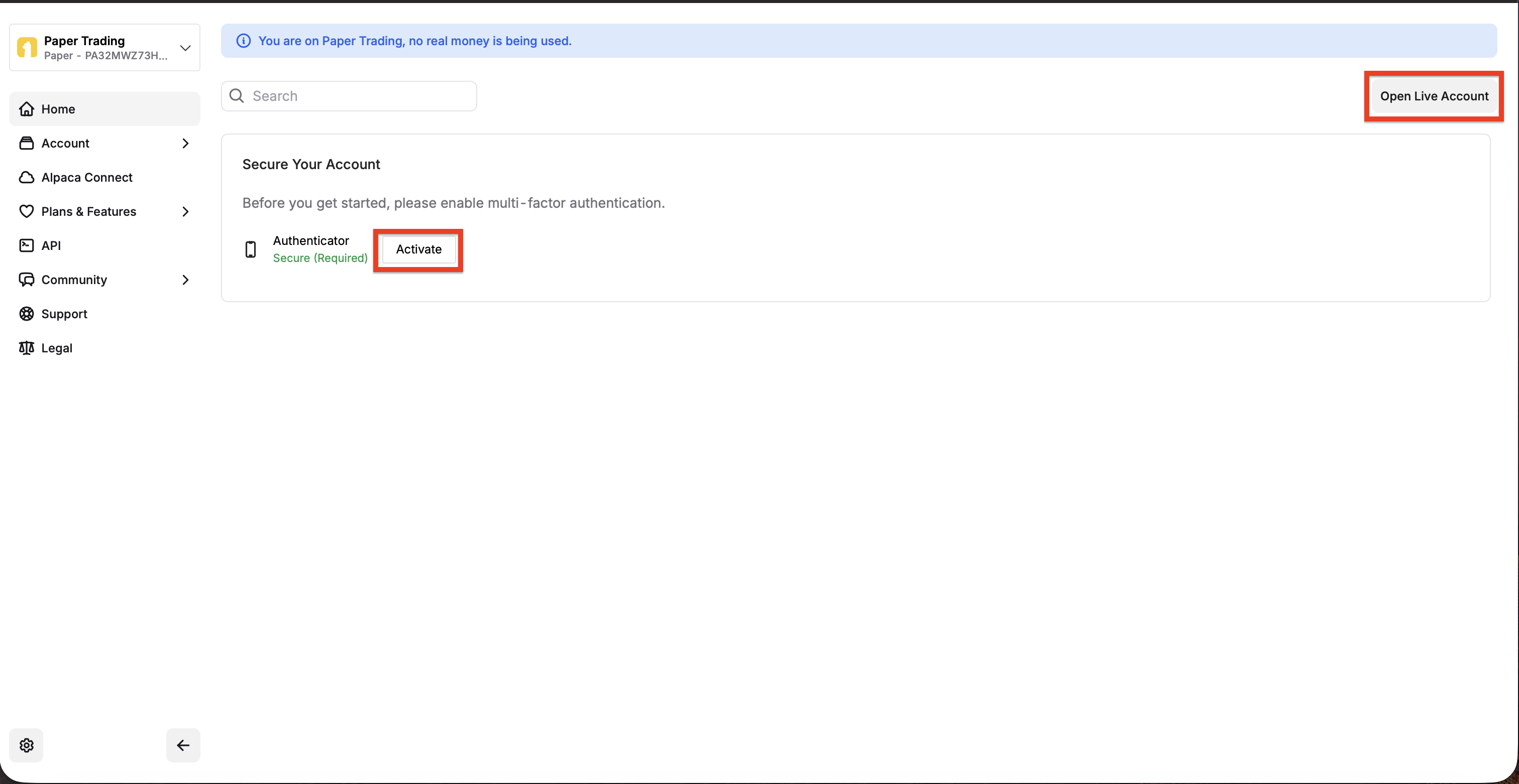 Paper Trading or Live Account